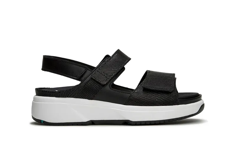 Xsensible-Aruba-links