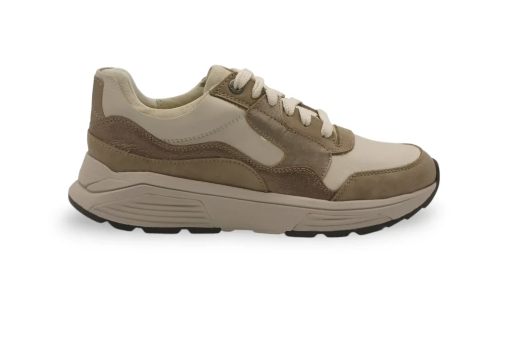 33000.3.531_01-1-scaled