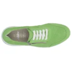 Solidus Hyle - Afbeelding 4